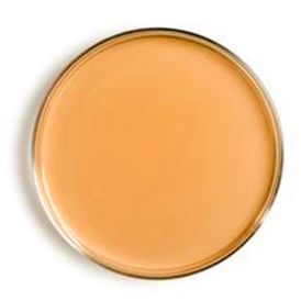 AGAR SS 500 gr KASVI