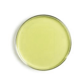 AGAR MYCOSEL PACOTE C/10 PLACAS NEWPROV