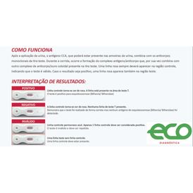 SHISTOTEST URINE CCA 20 TESTES ECO