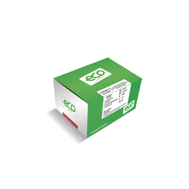 SALMONELLA 10 TESTES ECO