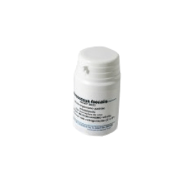 CEPA ENTEROCOCUS FAECALIS 0012 C/5 DISCOS 29212 NEWPROV
