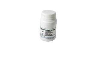 med_56ef528ef214fca4ed90a56ef7555fa5-photoroom