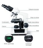 microscopio_-_c_pia