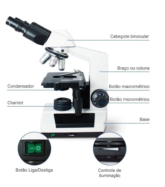 microscopio_-_c_pia