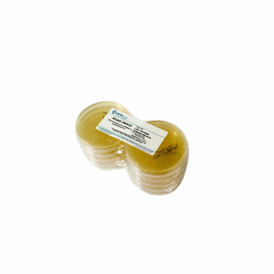 AGAR DNASE 10 PLACAS NEWPROV