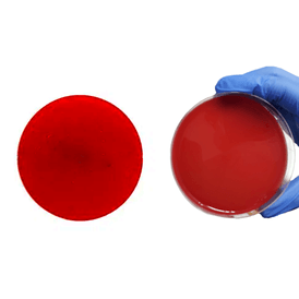 AGAR SANGUE BASE MUELLER HINTON 90X15 PACOTE C/10 NEWPROV