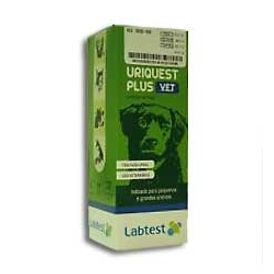 Uriquest Plus Vet  Tiras de Urina - Ref. 1005-100 Tiras Labtest