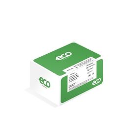 COVID-19 FLU A/B AG COMBO 25 TESTES ECO