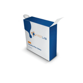 BANDAGEM POS COLETA ADULTO REDONDO CX/500 FIRSTLAB