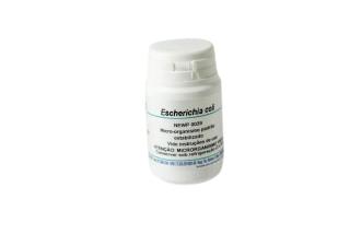 cepa escherichia-Photoroom.png