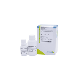 CREATININA ENZIMATICA SD REF167 2/72 2 x 54 mL LABTEST