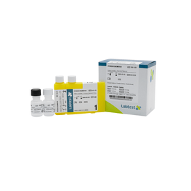 POTASSIO ENZIMATICO REF 152-1/33 - LABMAX 240